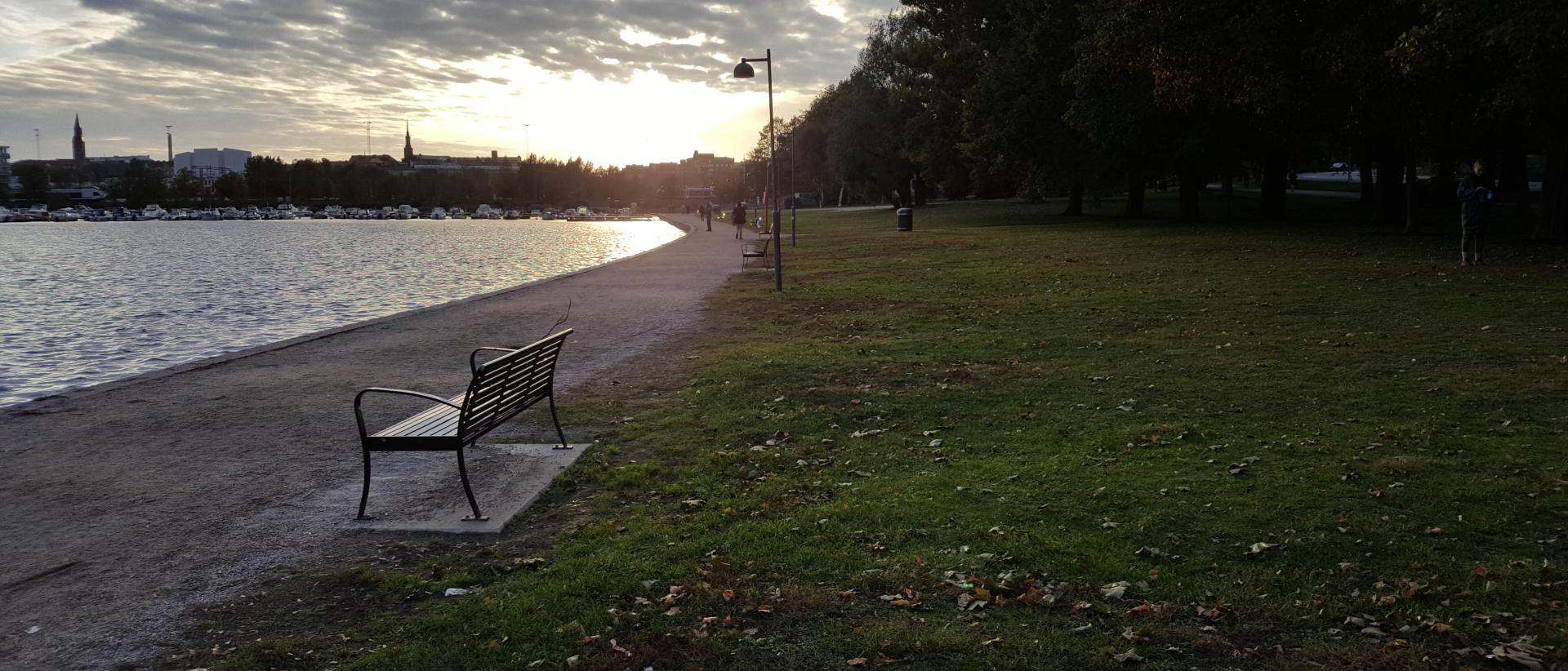 Puistonpenkki veden ja ruohikon äärellä Eläintarhanlahdella Helsingissä ilta-auringossa.
